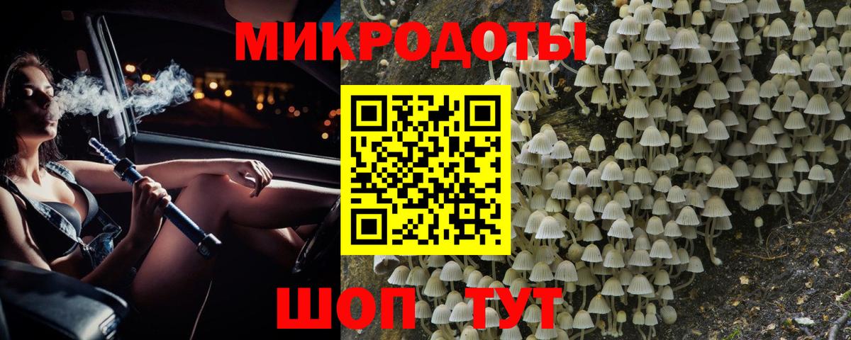 сколько стоит  Псилоцибиновые грибы GOLDEN TEACHER  Вход с VPN  Галлюциногенные грибы Magic Shrooms  Богданович 